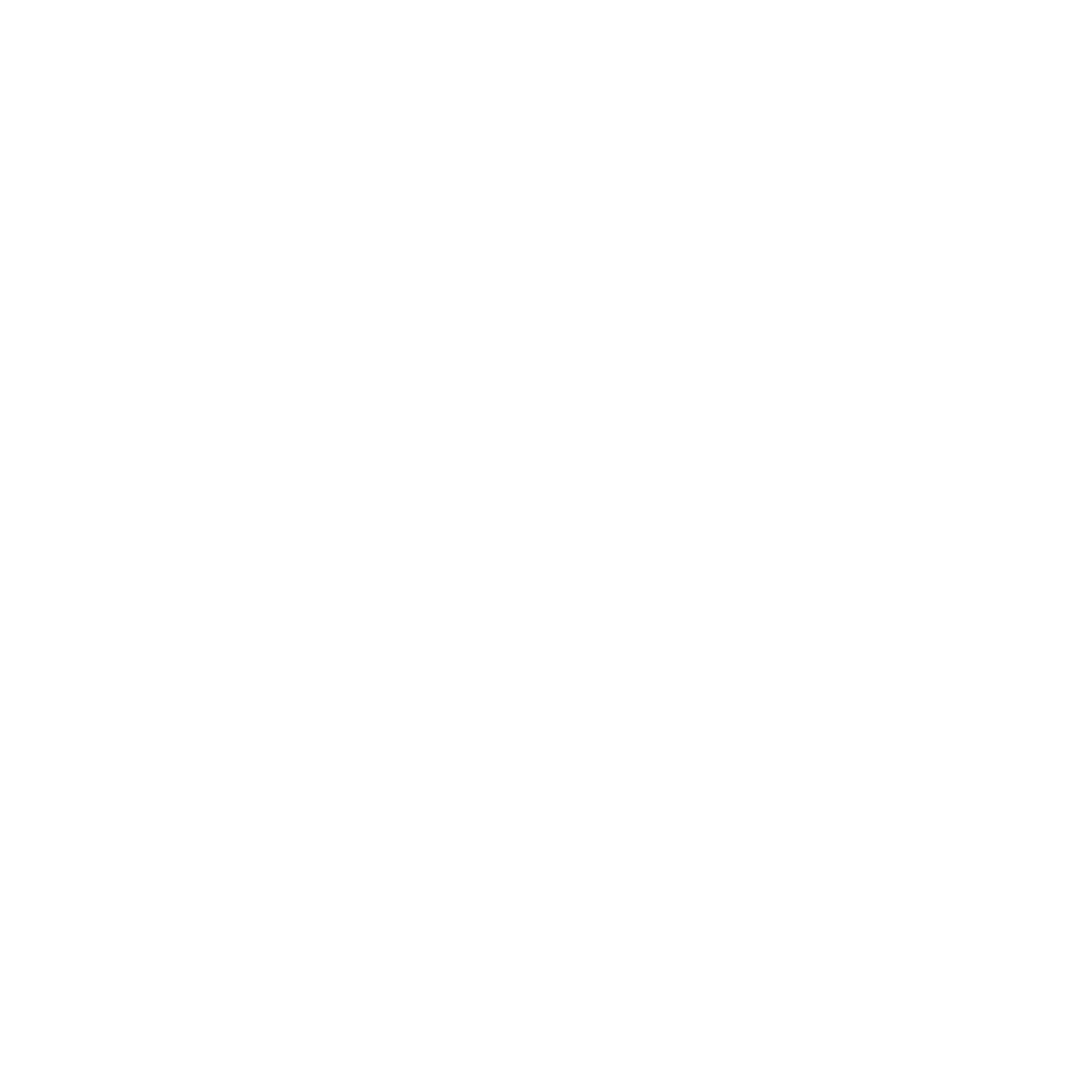 EVint-logo