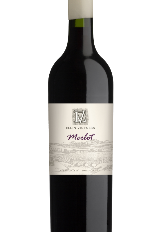 Merlot 2020 Case