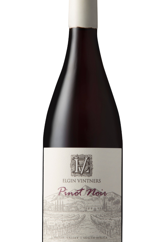 Pinot Noir 2024 Case