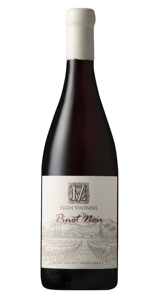 Pinot Noir 2024 Case
